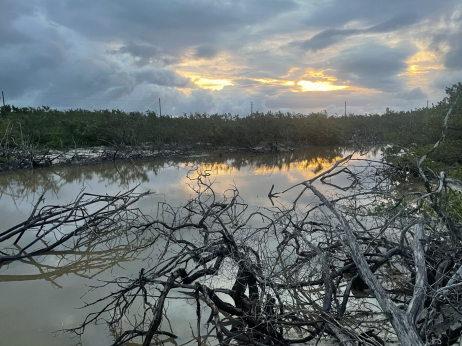 ESIA Submission for Murbee Resorts Inc’s Rosewood Barbuda Resort